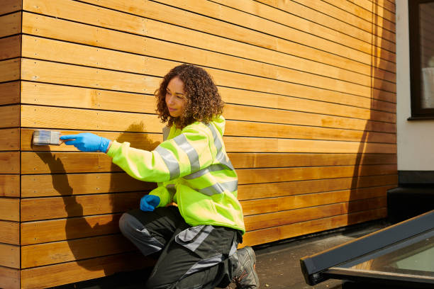 Best Steel Siding Installation  in New London, IA